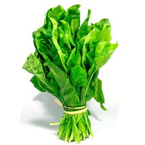 imagem do produto Almeirão folha larga Org. 