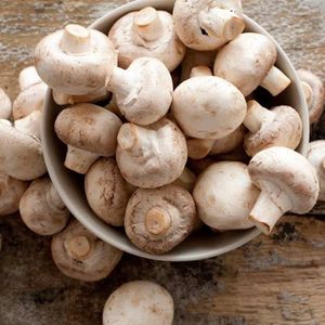 imagem do produto Cogumelo Paris Org.