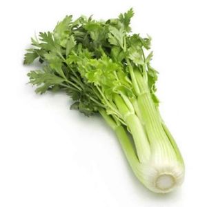 imagem do produto Salsão ( Aipo ) Org. 