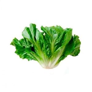 imagem do produto Escarola Org. 