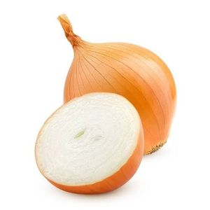 imagem do produto Cebola Branca Org.