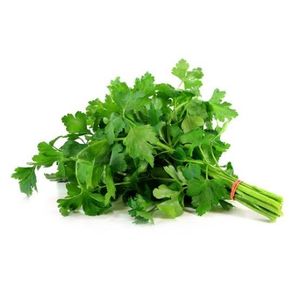 imagem do produto Salsinha Org. 