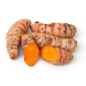 imagem do produto Acafrão Da Terra Org. 100g 