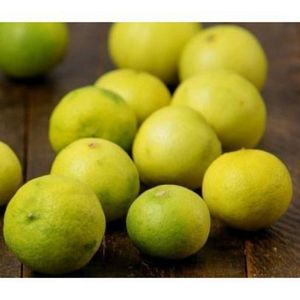 imagem do produto Limão galego