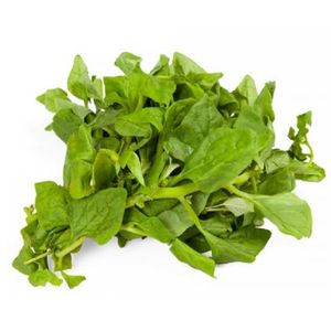 imagem do produto Espinafre Org. 