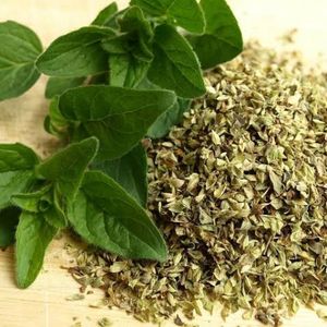 imagem do produto Oregano desidratado 