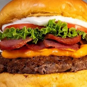imagem do produto HG.cheddar.calabresa