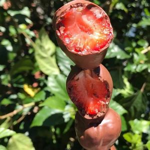 imagem do produto Espeto de morango