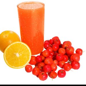 imagem do produto Sucos de Polpa 500ml