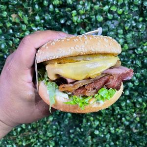 imagem do produto X-TUDO