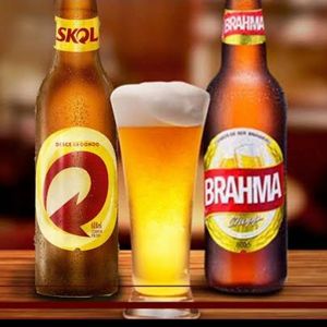 imagem do produto brahma 600 ml / skol 600 ml