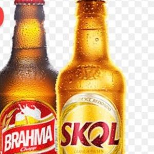 imagem do produto Brahma e skol 300 ml