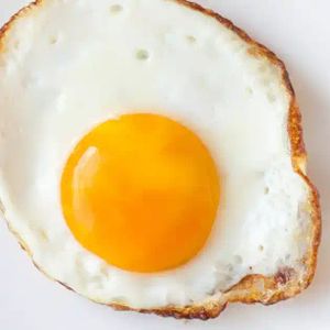 imagem do produto OVO