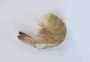 imagem do produto Camarão sem cabeça 41/50 G, pacote com 1Kg, congelado e drenado, sem adição de água no congelamento.