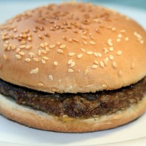 imagem do produto Hambúrguer simples 