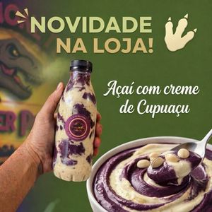imagem do produto Açaí com cupuaçu 
