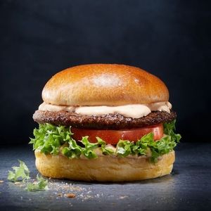 imagem do produto X-Tudo