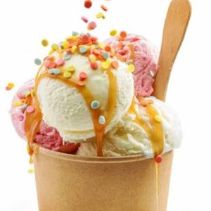 imagem do produto Vasilha de sorvete