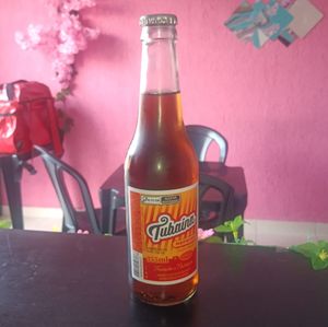 imagem do produto Tubaína 355ml Garrafa de Vidro