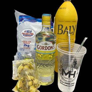 imagem do produto COMBO GIN GORDON’S TROPICAL 
