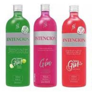 imagem do produto GIN INTENCION 900ML