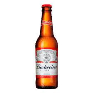 imagem do produto BUDWEISER