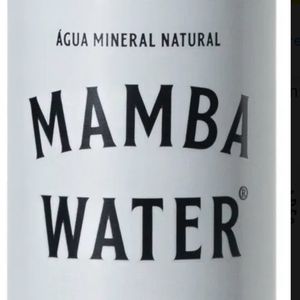 imagem do produto Água sem Gás 350ml