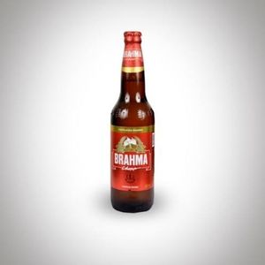 imagem do produto Brahma 600 