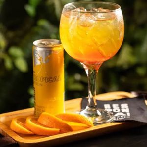 imagem do produto Tropical gin 