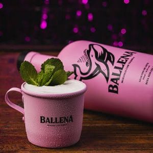 imagem do produto Drink Ballena