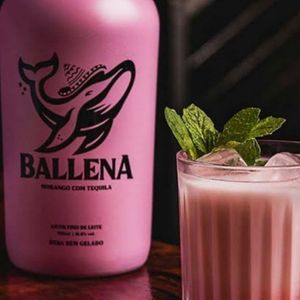 imagem do produto Ballena