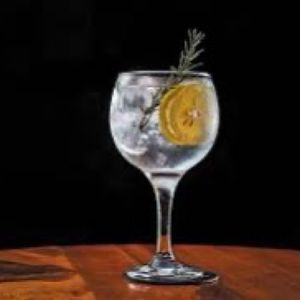 imagem do produto Gin Tônica 