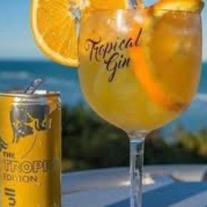 imagem do produto Tropical Gin