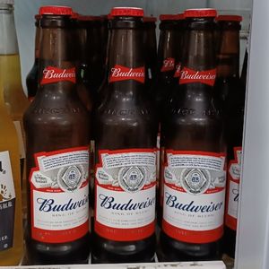 imagem do produto Cerveja Budweiser L.Neck 330ml