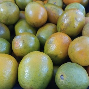 imagem do produto Laranja 