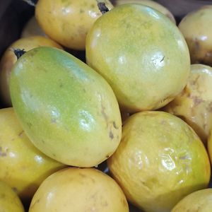 imagem do produto Maracujá 