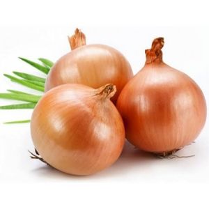 imagem do produto Cebola