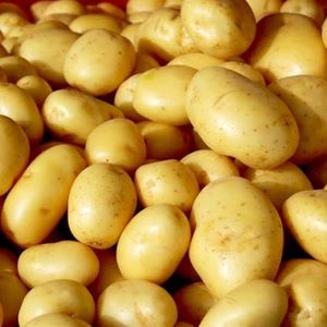 imagem do produto Batata 