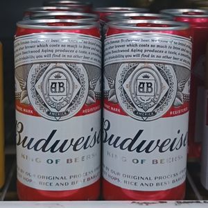 imagem do produto Cerveja Budweiser 269ml