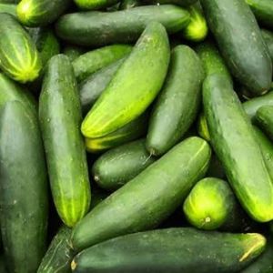imagem do produto Pepino 