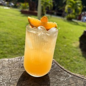 imagem do produto Tangerina Glenn 