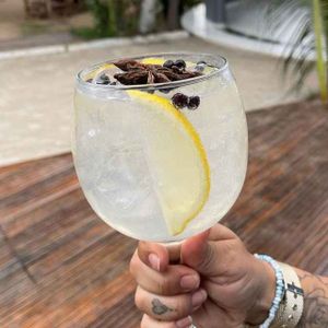 imagem do produto Gin Tônica / Morango 