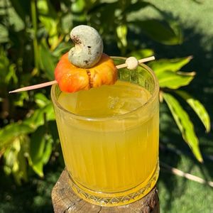 imagem do produto Cajueiro do Sertão 