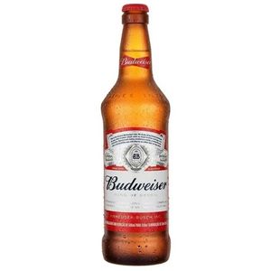 imagem do produto Budweiser 600ml