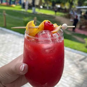 imagem do produto Gin Simple Red