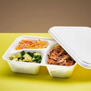 imagem do produto marmita executiva pequena 