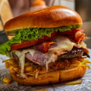 imagem do produto X-Tudo 