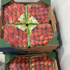 imagem do produto Caixa de morango com 4 bandejas 