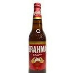 imagem do produto Brahma Chopp 600 ml