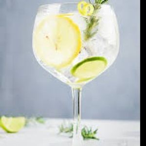 imagem do produto Gin Tônica